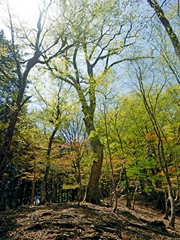 250504_2