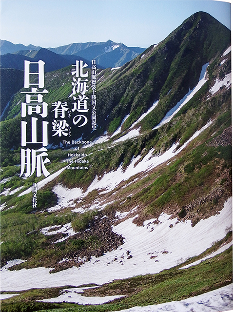 hidaka_np