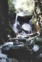 コグリノ滝