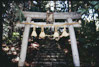 滝壺神社