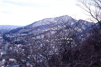 円山