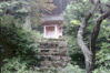 赤山明神社
